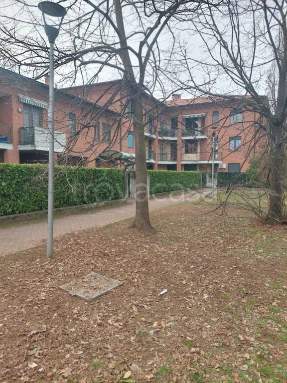 appartamento in vendita a Robecchetto con Induno