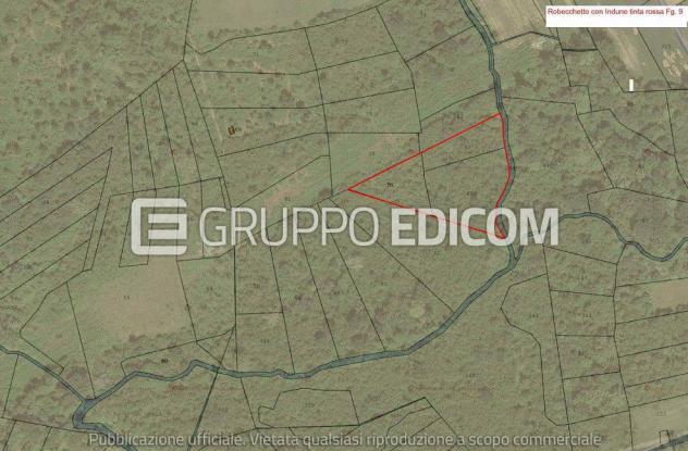 terreno agricolo in vendita a Robecchetto con Induno