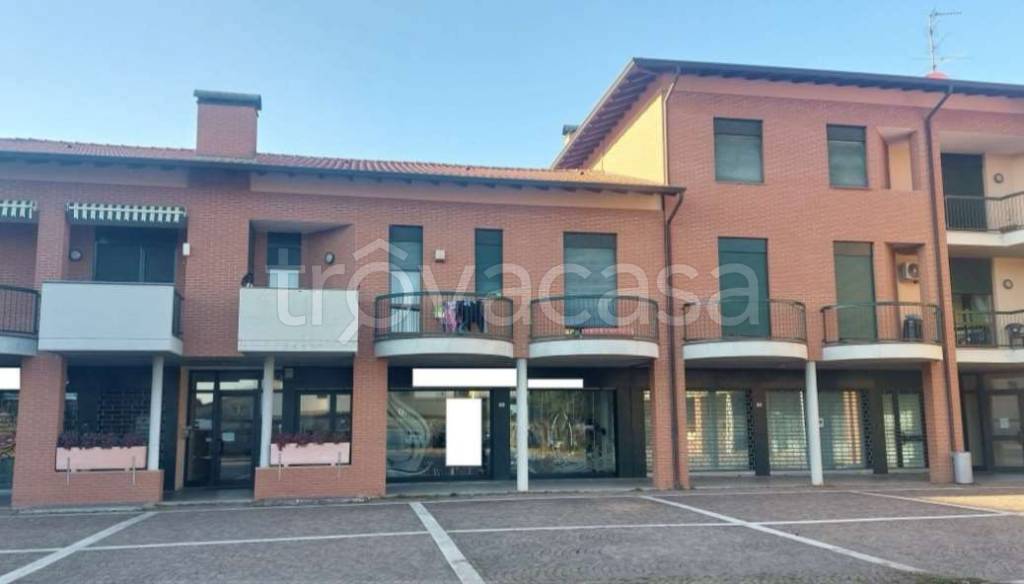 appartamento in vendita a Robecchetto con Induno