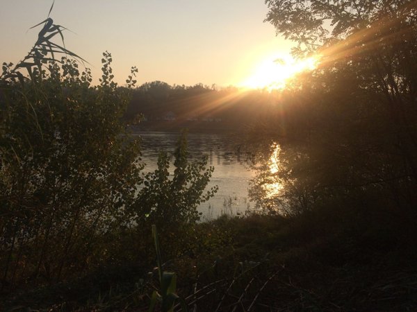 casa indipendente in vendita a Robecchetto con Induno