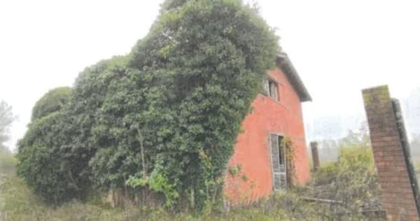 casa indipendente in vendita a Robecchetto con Induno