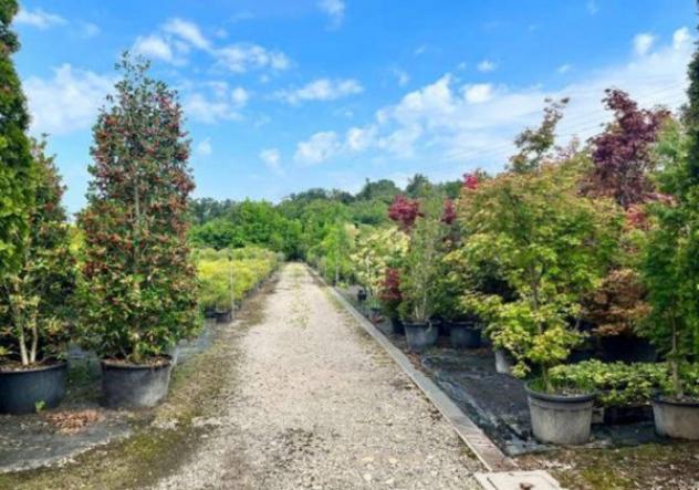 terreno edificabile in vendita a Robecchetto con Induno