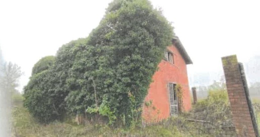 casa indipendente in vendita a Robecchetto con Induno