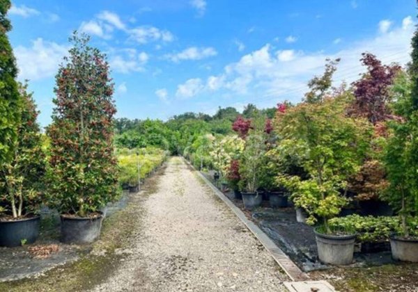 terreno edificabile in vendita a Robecchetto con Induno