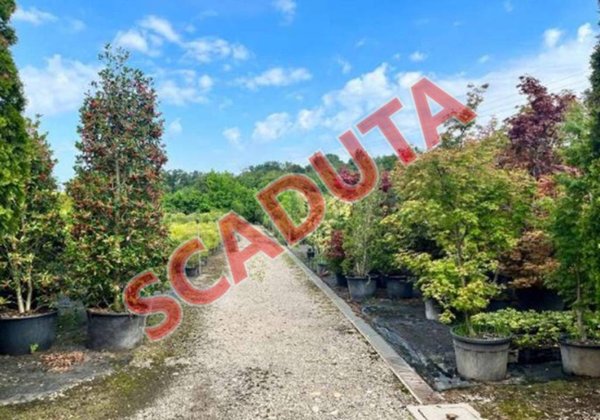 terreno edificabile in vendita a Robecchetto con Induno in zona Malvaglio