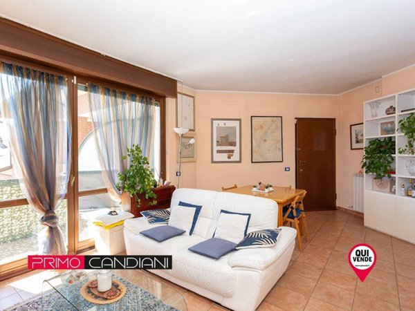 appartamento in vendita a Robecchetto con Induno