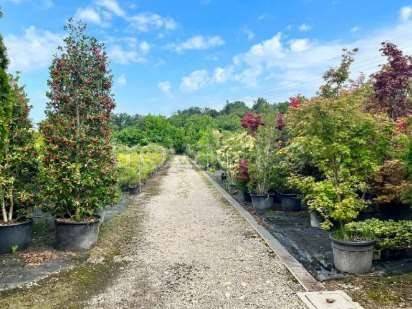 appartamento in vendita a Robecchetto con Induno