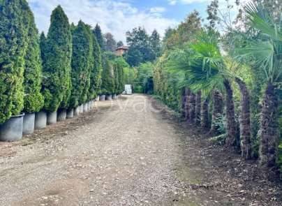 appartamento in vendita a Robecchetto con Induno