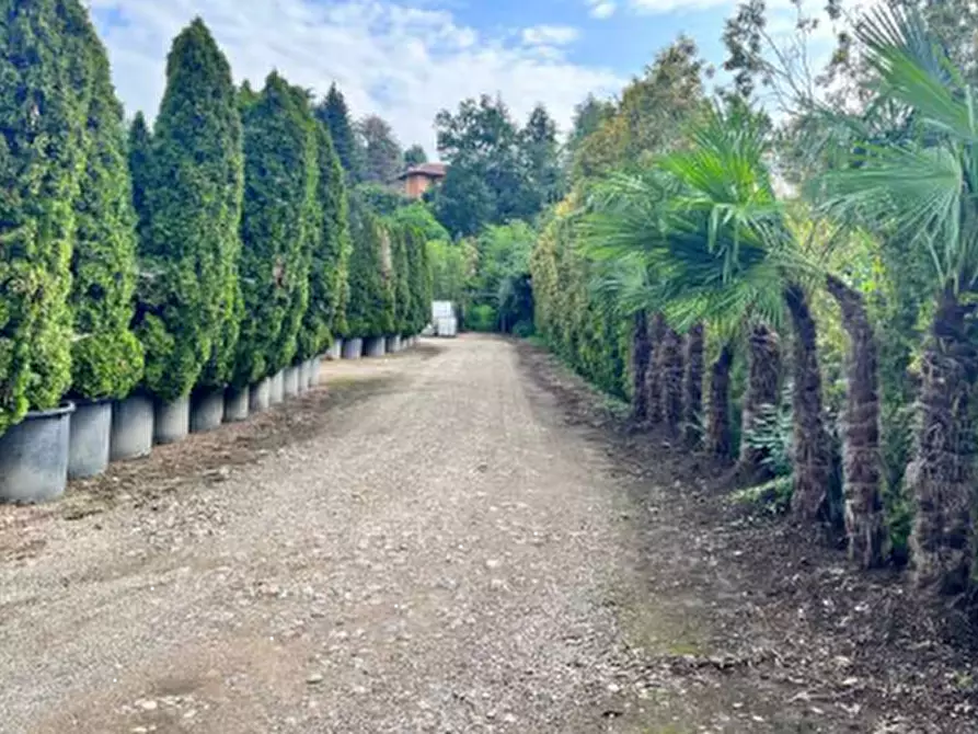 terreno agricolo in vendita a Robecchetto con Induno