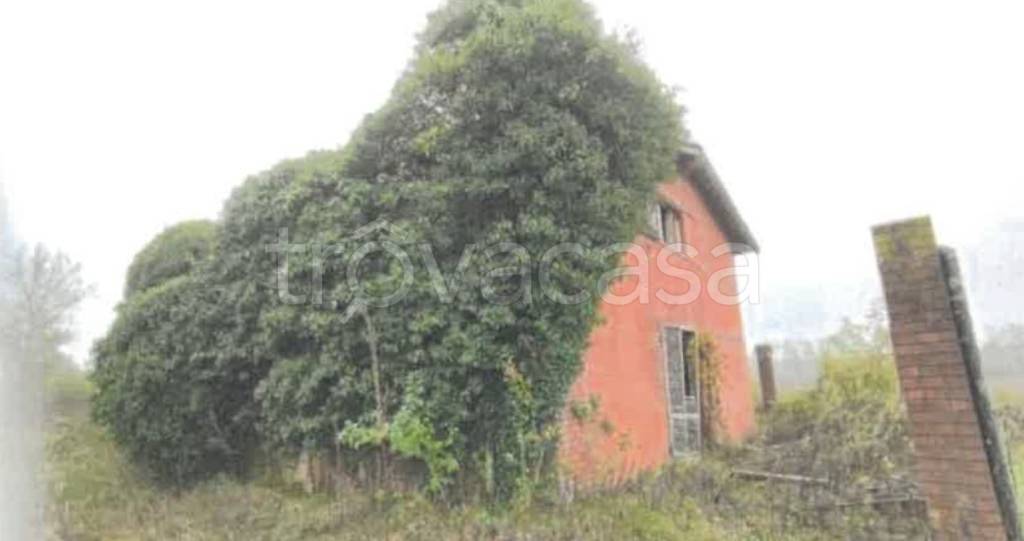 casa indipendente in vendita a Robecchetto con Induno