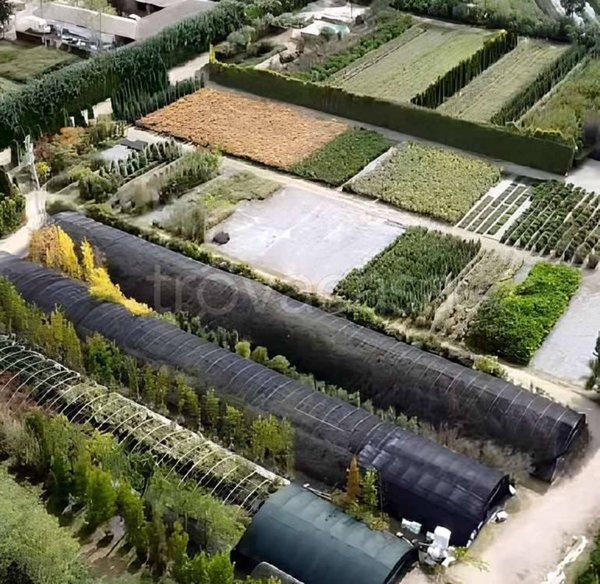 appartamento in vendita a Robecchetto con Induno