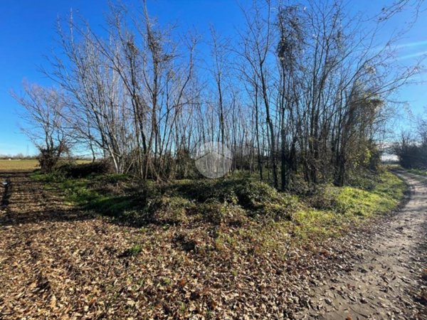 terreno edificabile in vendita a Robecco sul Naviglio