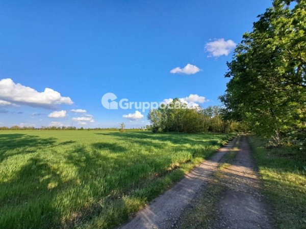 terreno agricolo in vendita a Robecco sul Naviglio