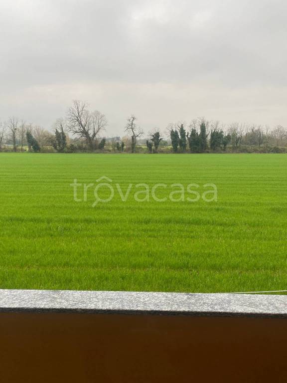 appartamento in vendita a Rodano