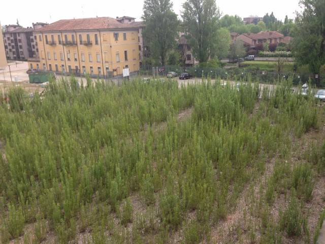 intera palazzina in vendita a Rozzano