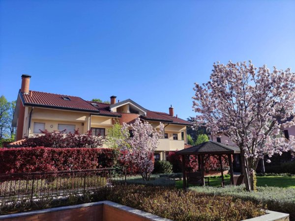 immagine annuncio 0 di 15