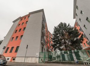 immagine annuncio 0 di 10