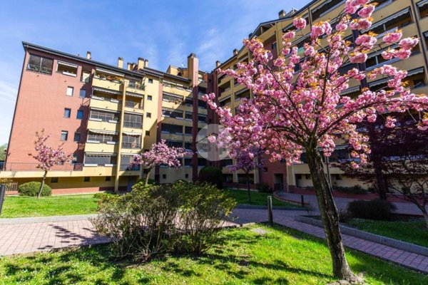 appartamento in vendita a Rozzano