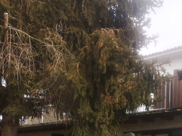 appartamento in vendita a San Colombano al Lambro