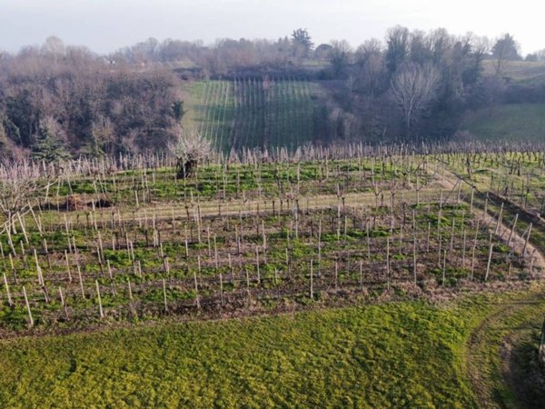 terreno agricolo in vendita a San Colombano al Lambro