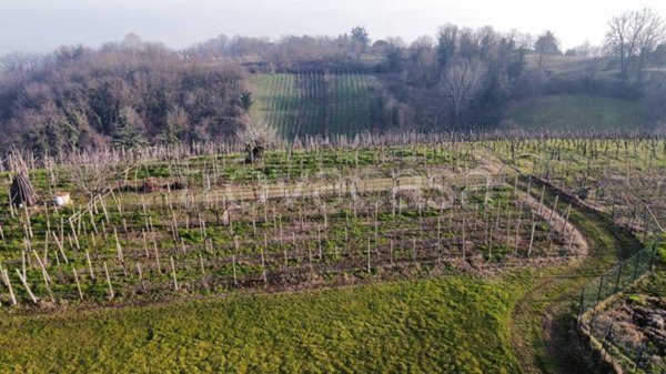 terreno agricolo in vendita a San Colombano al Lambro