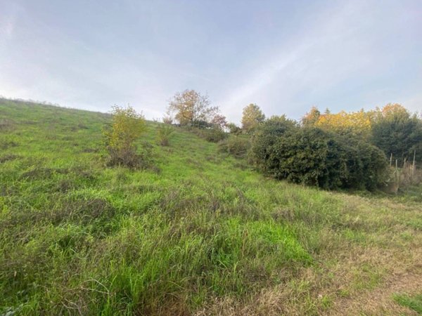 terreno agricolo in vendita a San Colombano al Lambro