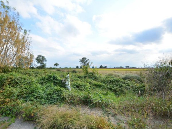 terreno agricolo in vendita a San Colombano al Lambro