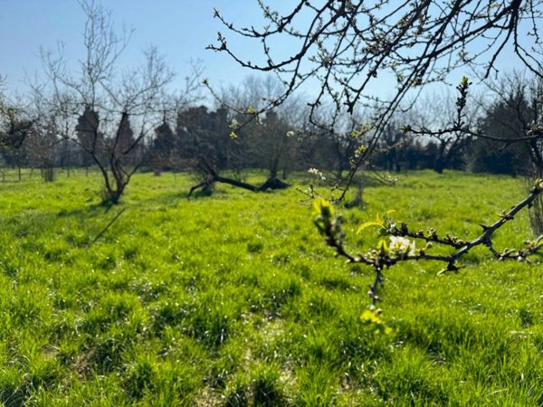 terreno agricolo in vendita a San Colombano al Lambro