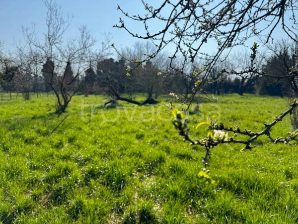 terreno agricolo in vendita a San Colombano al Lambro