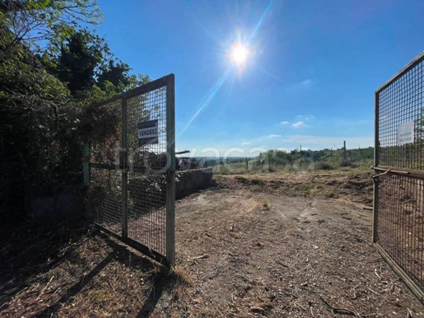 terreno agricolo in vendita a San Colombano al Lambro