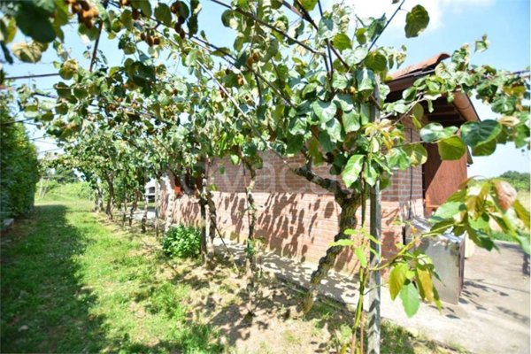 terreno agricolo in vendita a San Colombano al Lambro