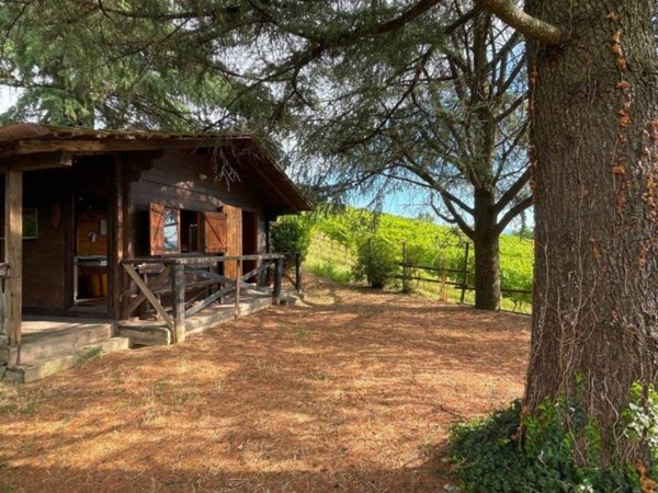 terreno agricolo in vendita a San Colombano al Lambro