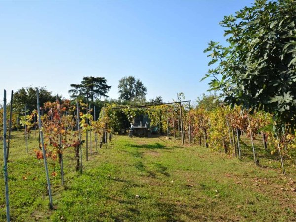 terreno agricolo in vendita a San Colombano al Lambro