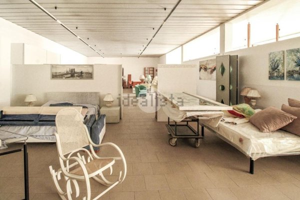 immagine annuncio 0 di 1