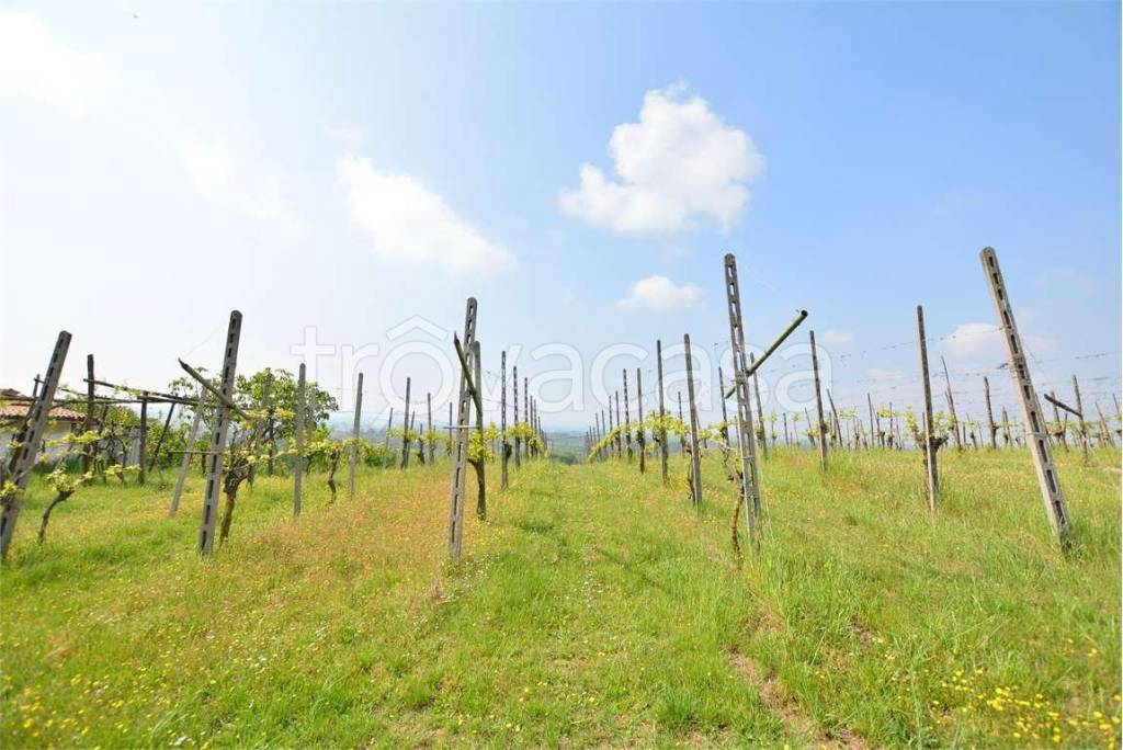 terreno agricolo in vendita a San Colombano al Lambro in zona Campagna