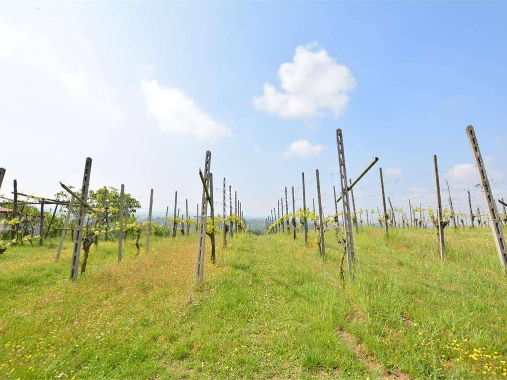 terreno agricolo in vendita a San Colombano al Lambro in zona Campagna