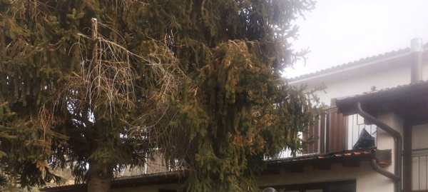 appartamento in vendita a San Colombano al Lambro