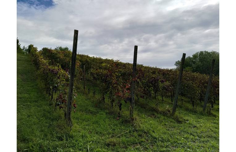 terreno agricolo in vendita a San Colombano al Lambro