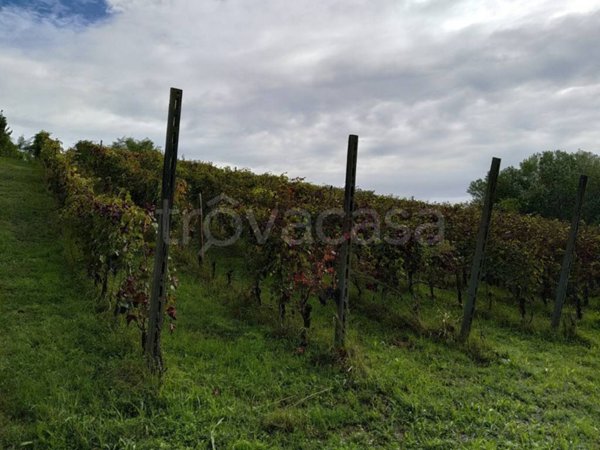 terreno agricolo in vendita a San Colombano al Lambro
