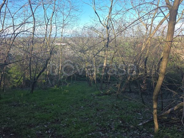 terreno edificabile in vendita a San Colombano al Lambro
