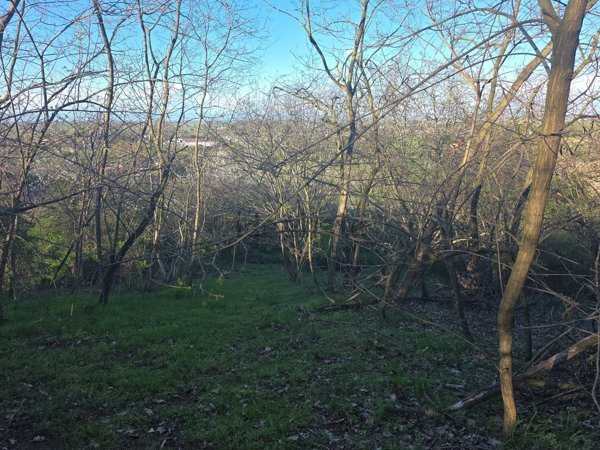 terreno edificabile in vendita a San Colombano al Lambro in zona Mostiola