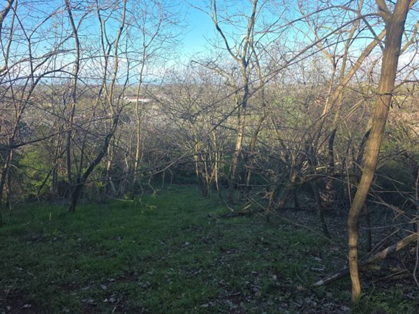 terreno edificabile in vendita a San Colombano al Lambro in zona Mostiola