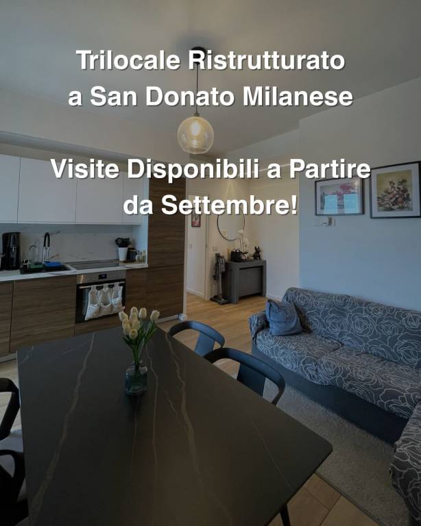 appartamento in vendita a San Donato Milanese