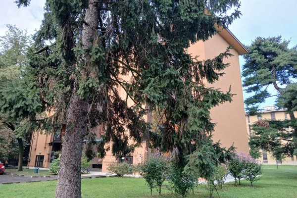 appartamento in vendita a San Donato Milanese