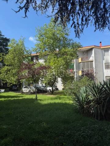 appartamento in vendita a San Donato Milanese