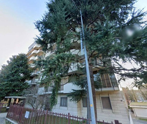 immagine annuncio 0 di 15