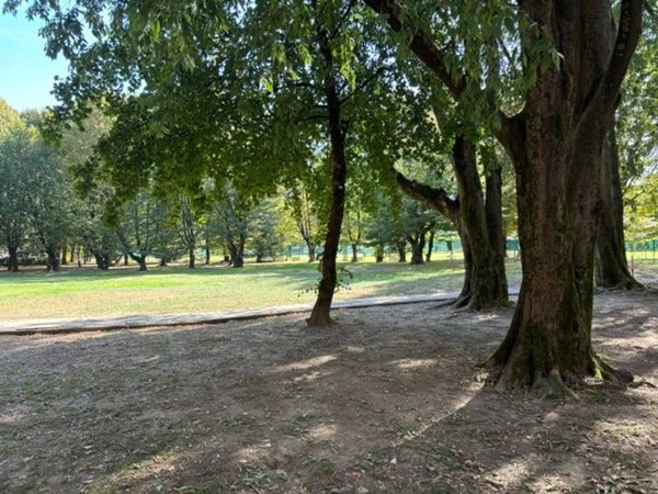 appartamento in vendita a San Donato Milanese
