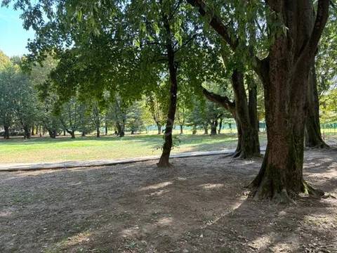 appartamento in vendita a San Donato Milanese