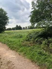 terreno agricolo in vendita a San Giorgio su Legnano
