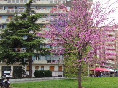 appartamento in vendita a San Giuliano Milanese